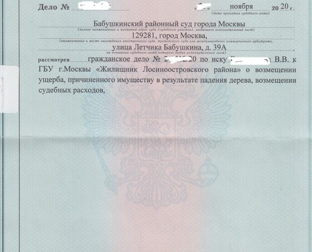 фото иска